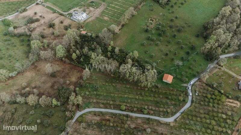 Terreno / Fundão, Donas - Grande imagem: 3/17