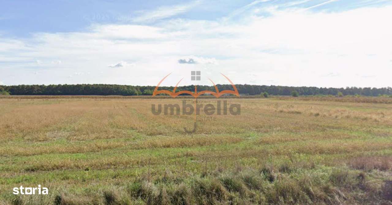 Teren Hideaga | Deschidere pe E58  DN1C-1