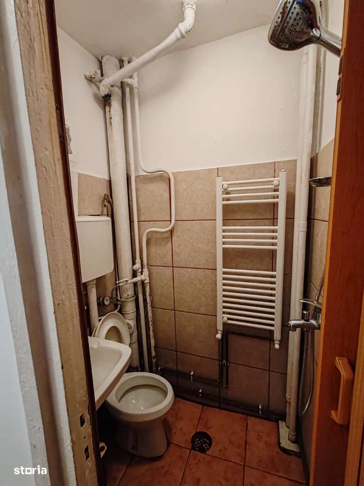 Apartament 1 camera, Blascovici - Imagine principală: 3/6