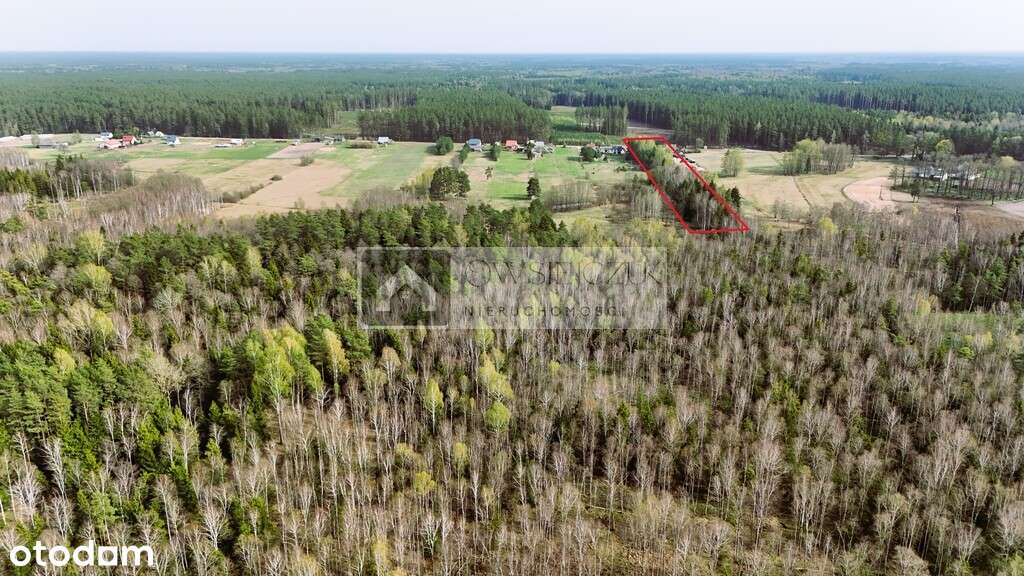 Urokliwa działka, Poj. Augustowskie -Suwalszczyzna - Pełny obrazek: 5/5