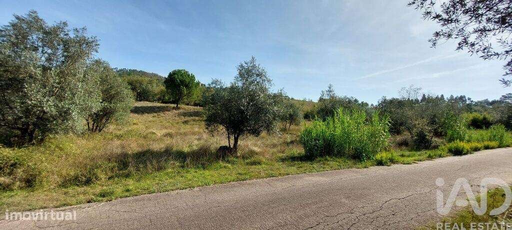 Terreno Agrícola em Colmeias e Memória - Grande imagem: 4/6