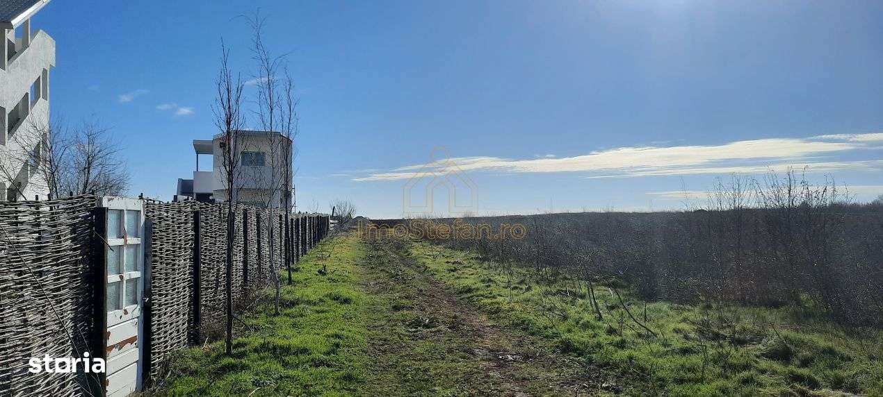 Vama Veche | Teren intravilan pentru investiții imobiliare!-8