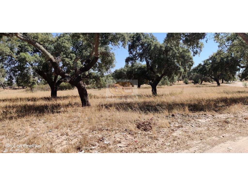 Lote com PROJECTO APROVADO para construção de moradia e piscina-6