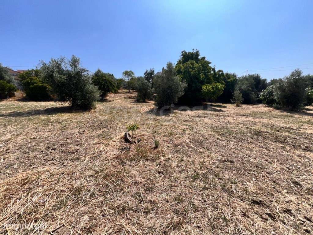 Terreno com possibilidade de construção perto do Entroncamento - Grande imagem: 5/10