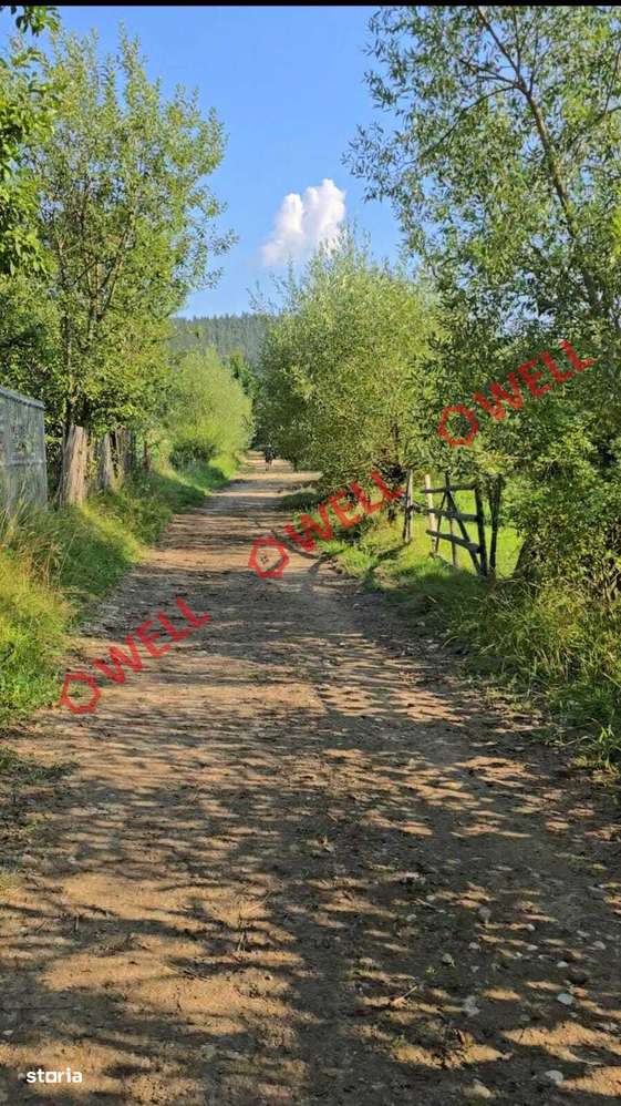 De vânzare teren extravilan în Întorsura Buzăului - Imagine principală: 5/7