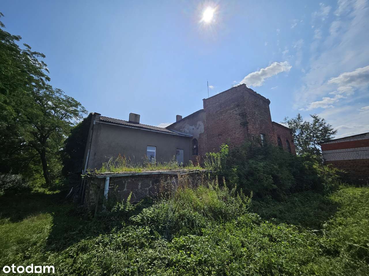 Gorzelnia w Buczu - Pełny obrazek: 5/20