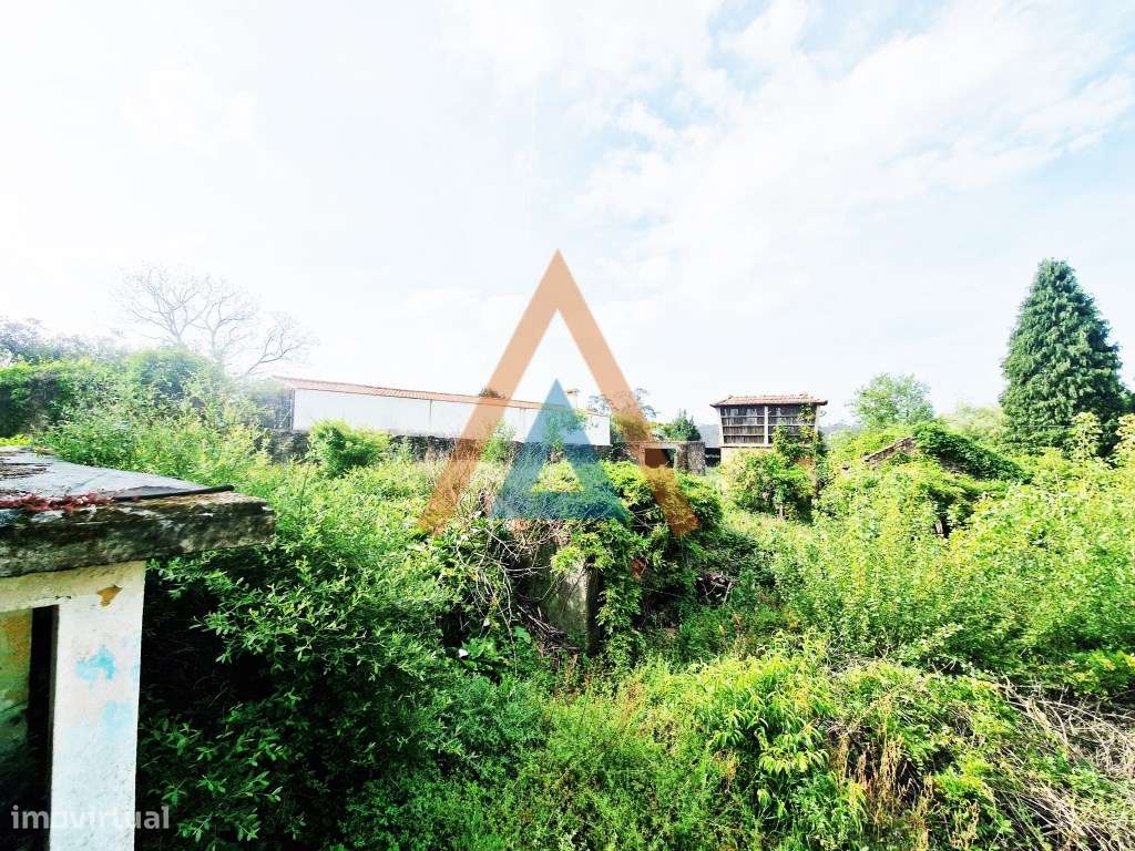 Maravilhosa quinta com casa e terreno-15