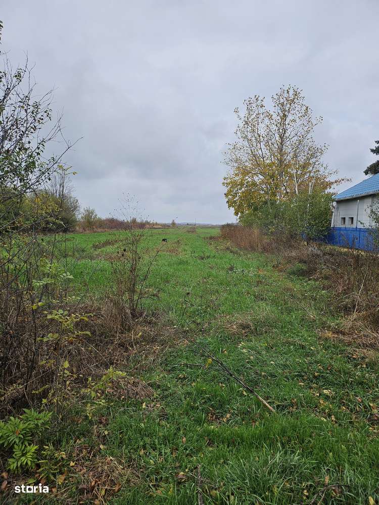 Butimanu Jud. Dambovita, teren intravilan si extravilan-2