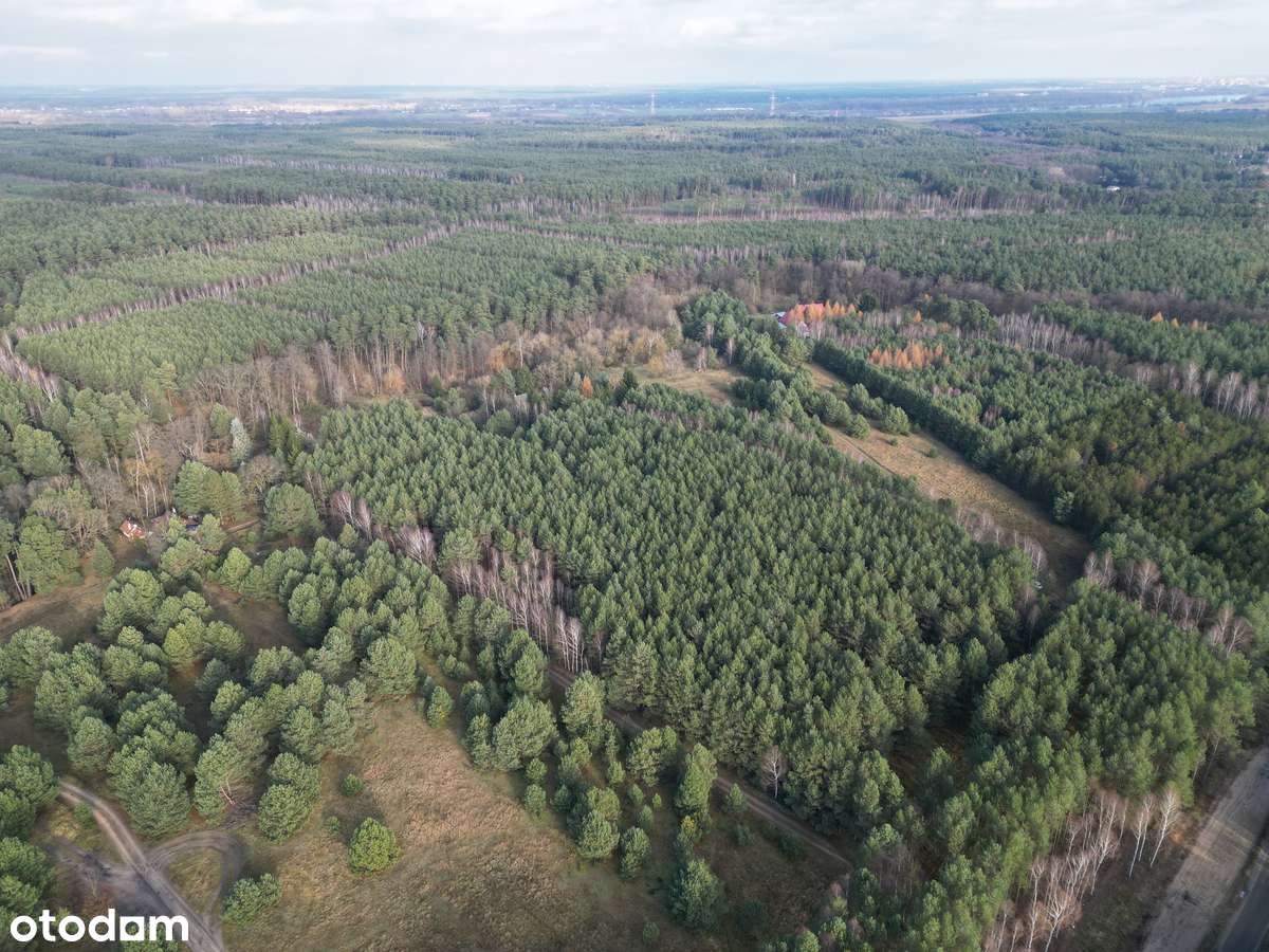 Działka na sprzedaż – Małe Jarki, koło Cierpic, niedaleko Torunia-4
