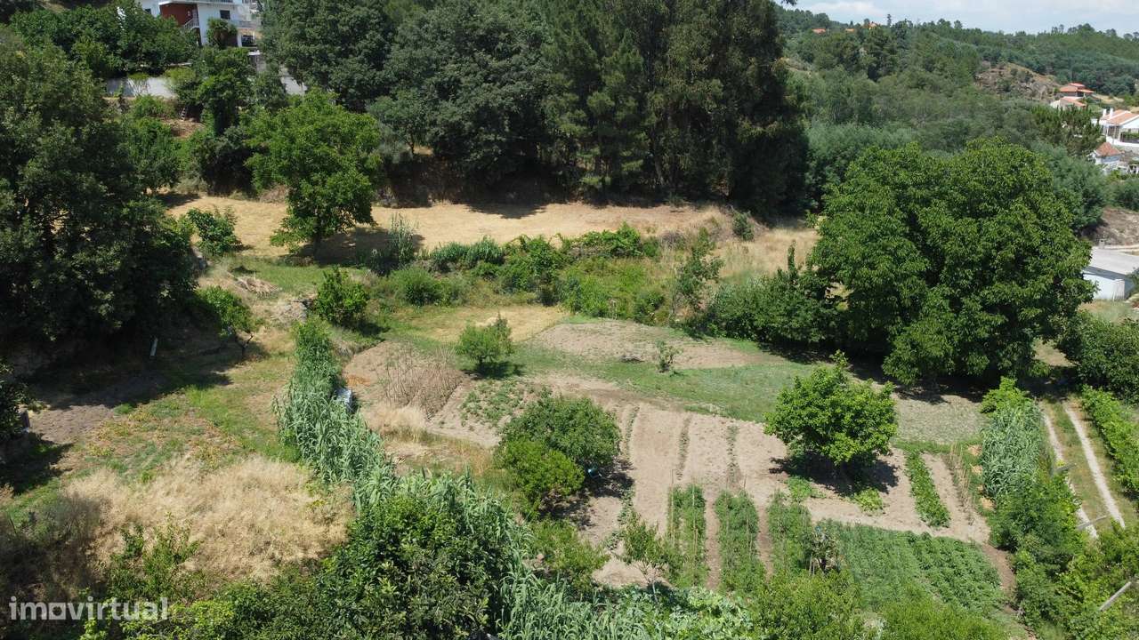 Terreno com 4.522 m² e Viabilidade de Construção - Vila do Carvalho-14