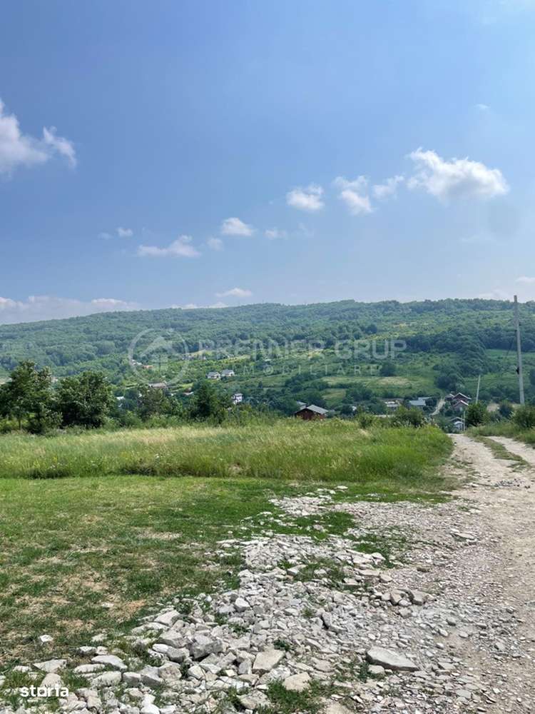 Teren extravilan, Tomesti, 633mp - Imagine principală: 2/3