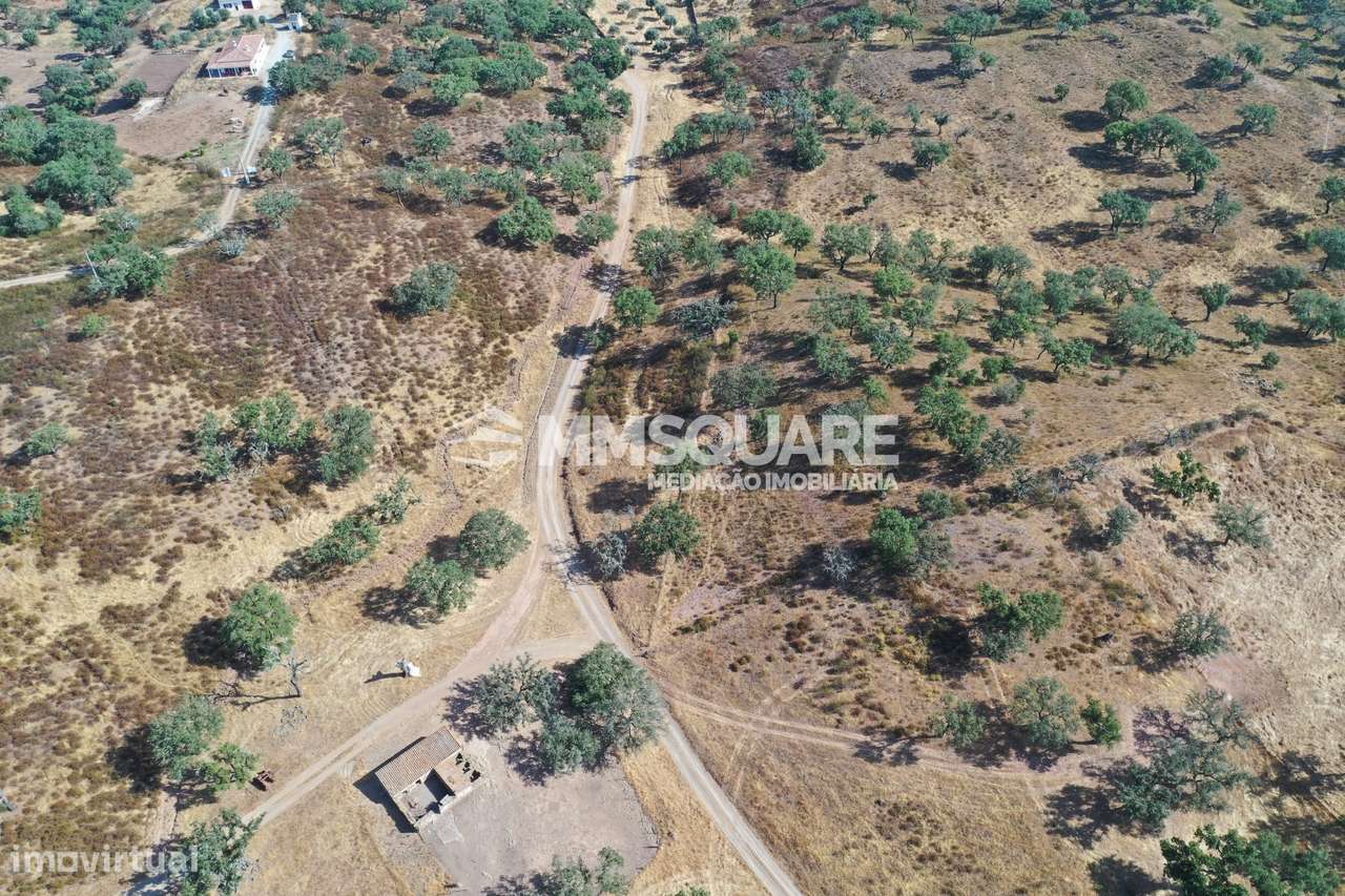 Monte do Chaparral — Ourique-8