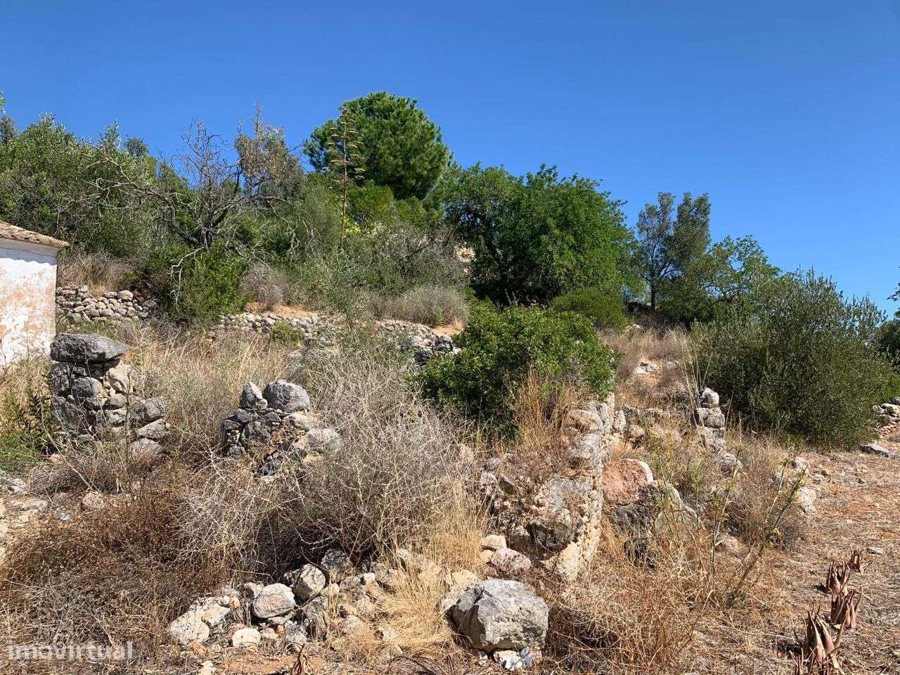 Terreno Urbano, com 3 artigos, Colmeal-5