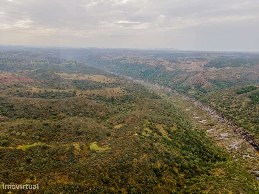 Investimento em Serpa: 6,5ha c/ Viabilidade Turística-5