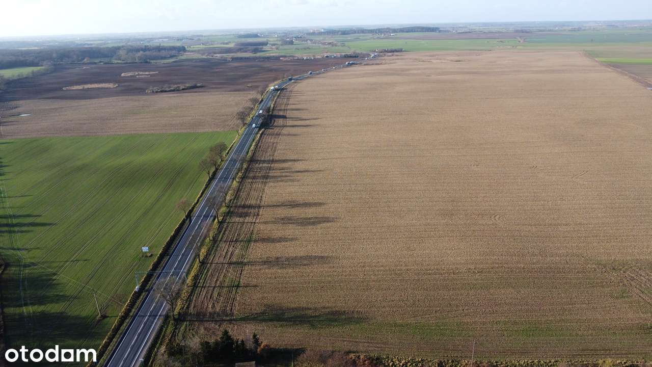 Duża działka inwestycyjna przy DK92 | 30 km od Poznania-3