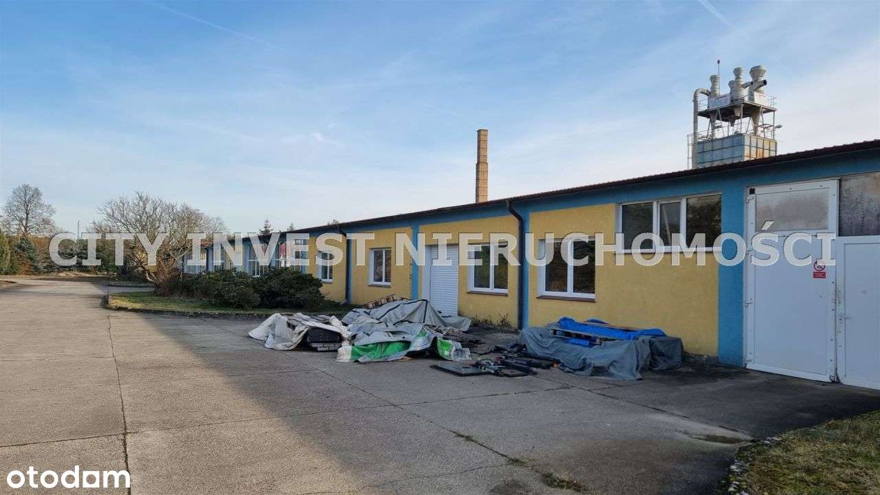 Hala/Magazyn, 4 750 m², Cybinka-4