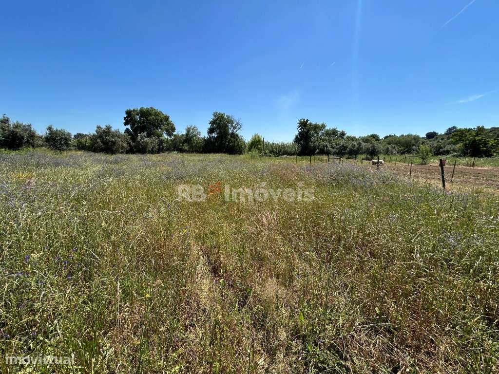 Terreno com Poço - Bairrada, Tomar - Grande imagem: 2/7