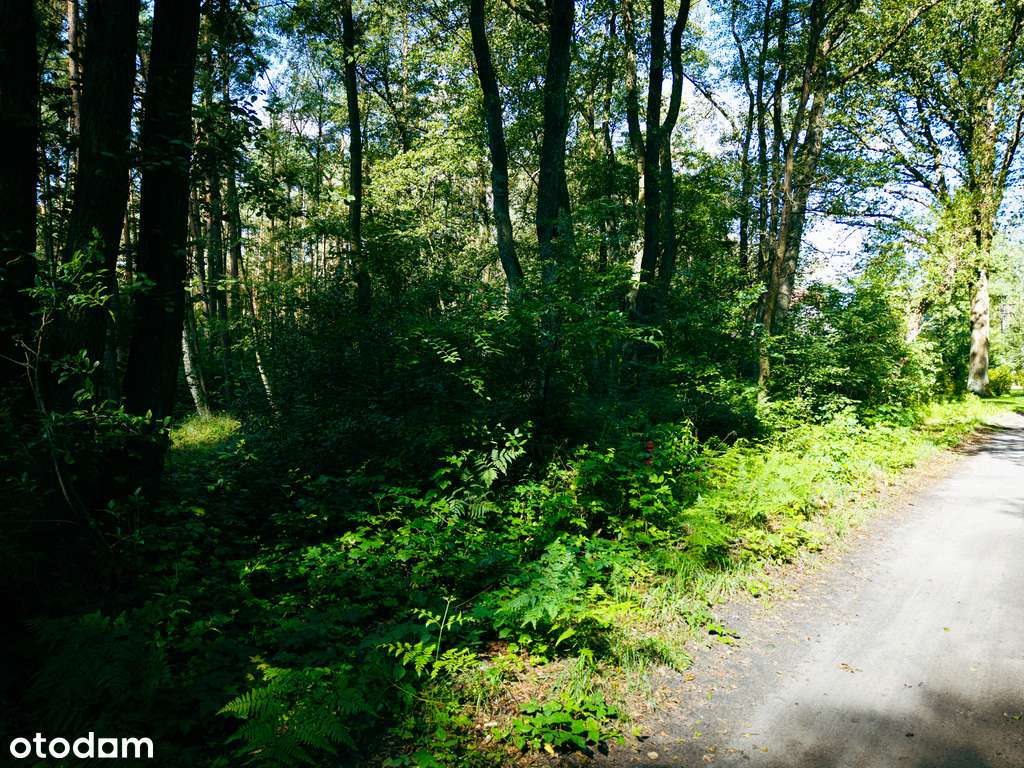 Leśne zacisze czeka na Ciebie! - Pełny obrazek: 2/10