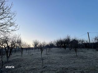 Bardesti - Teren intravilan 1247 mp, toate utilitatile, - Imagine principală: 2/7