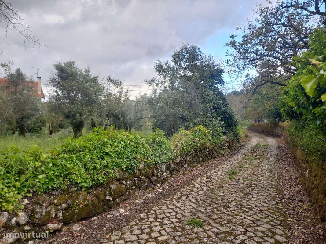 Terreno  para venda - Grande imagem: 2/3