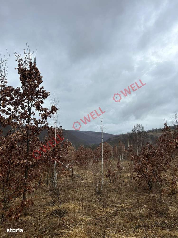 De vânzare teren extravilan în zona turistică denumită Kuvaszó - Imagine principală: 4/6