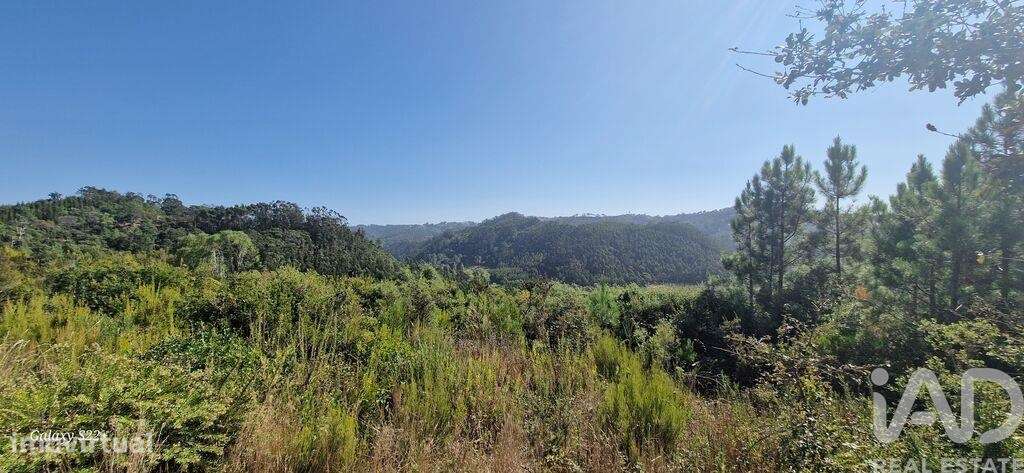 Terreno Agrícola em Azueira e Sobral da Abelheira - Grande imagem: 5/28