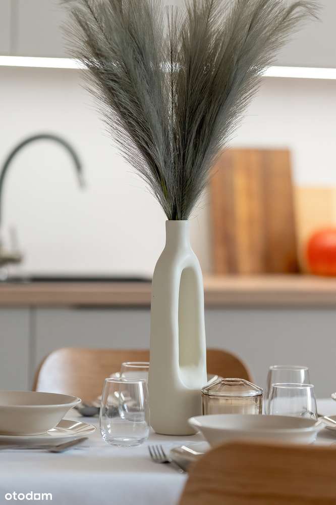 PO REMONCIE!  3  Pokoje 50 m² – Dębiec - Pełny obrazek: 4/20