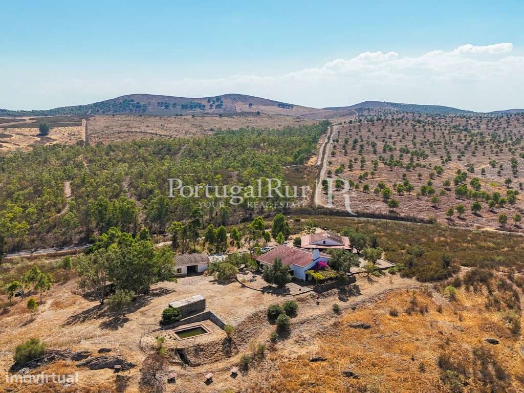 Propriedade com 9,3 ha e 3 casas no P. N. do Vale do Guadiana - Grande imagem: 5/60