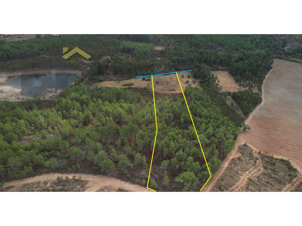 Quinta em Penamacor com 12.000m2 - Grande imagem: 5/5