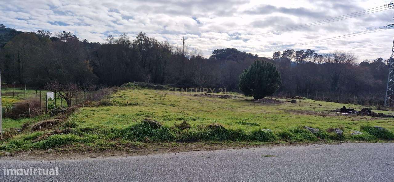 Terreno em São João de Lourosa, Viseu - Oportunidade Única - Grande imagem: 5/8