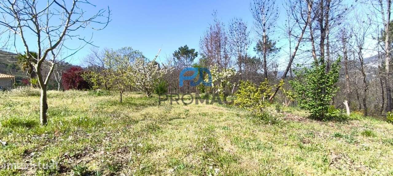 Quinta com 3 artigos urbanos, piscina e 9,4 ha em Resende-44