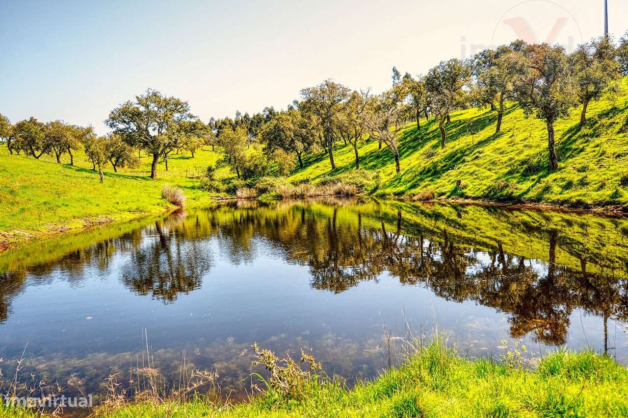 TERRENO EM S.BARTOLOMEU DA SERRA-41