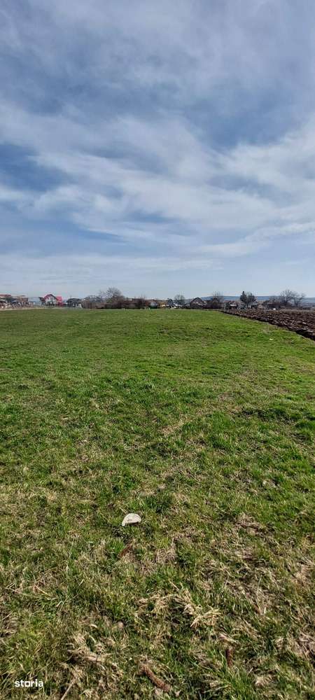 Teren 7000 mp,29euro mp.zona Libertății, Targu Mures, - Imagine principală: 4/4