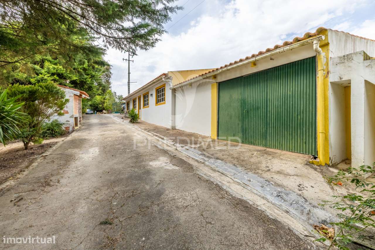 Quinta em Alcobaça - Grande imagem: 4/39