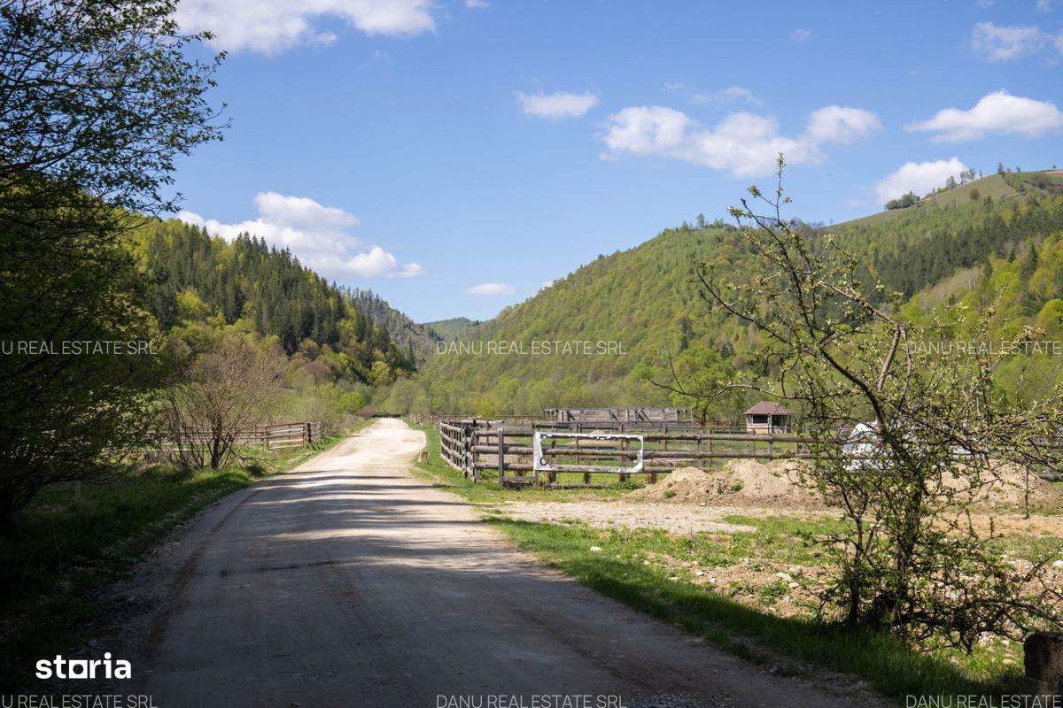 Zarnesti Barsa Fierului-Teren 1893mp-fantana si acces parau-comision0%-15