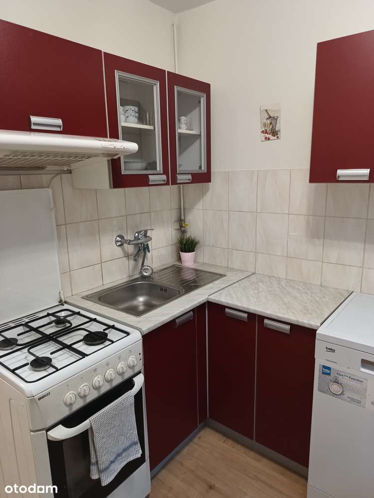 Wynajmę lub sprzedam - Pełny obrazek: 5/6