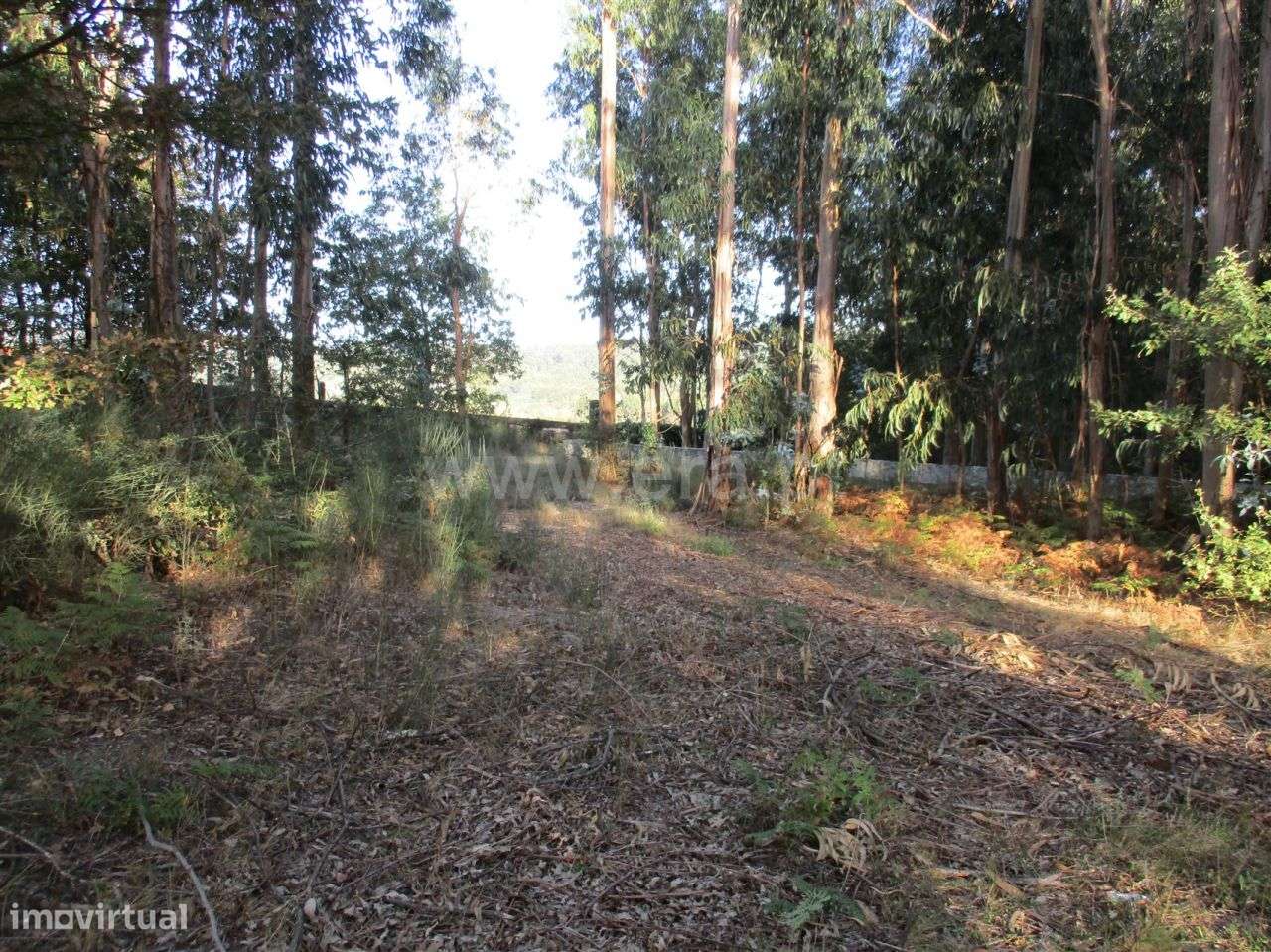 Terreno Para Construção - Grande imagem: 5/18