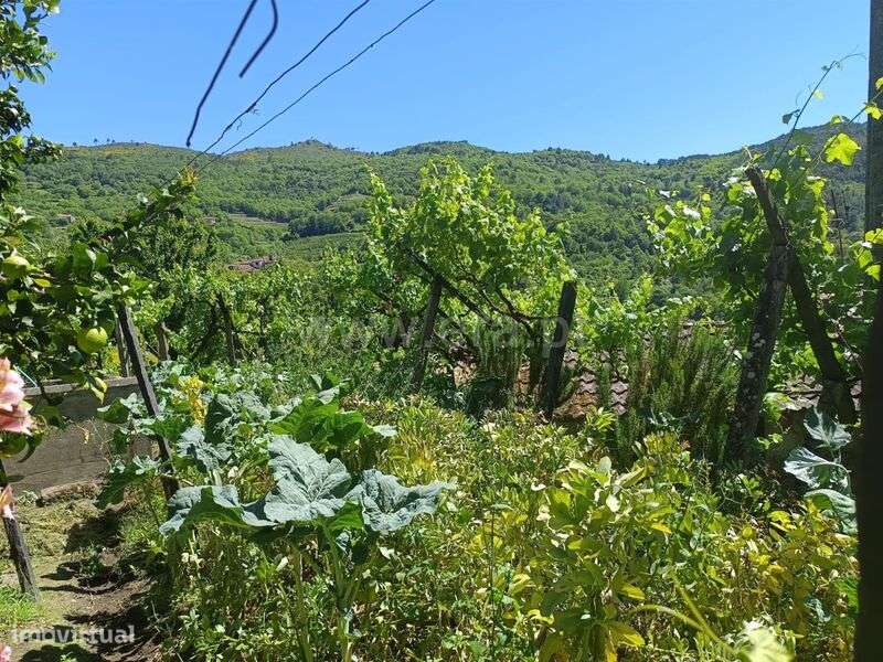 Moradia T1 / Resende, Anreade e São Romão de Aregos - Grande imagem: 2/5