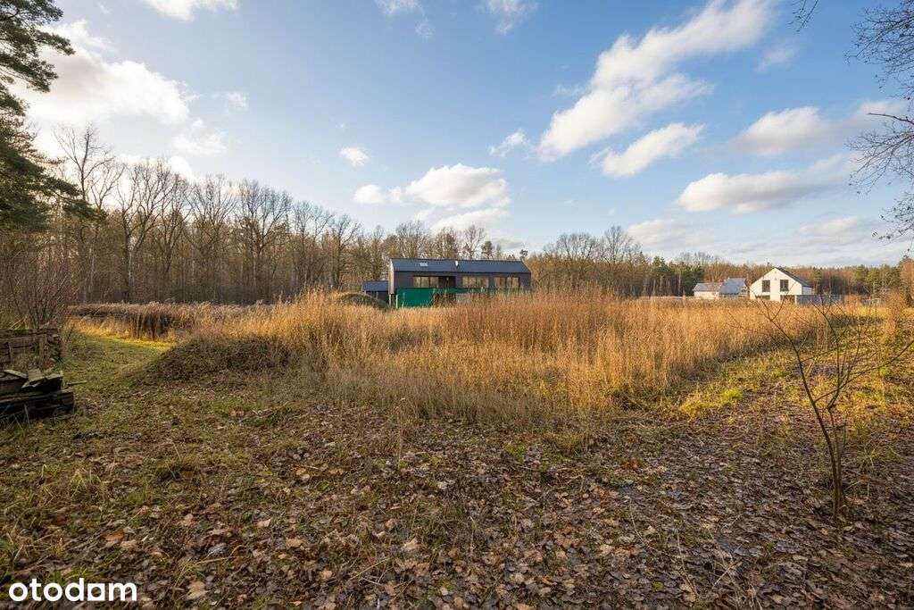 Sąsiedztwo lasu | Cisza | Blisko Warszawy-2