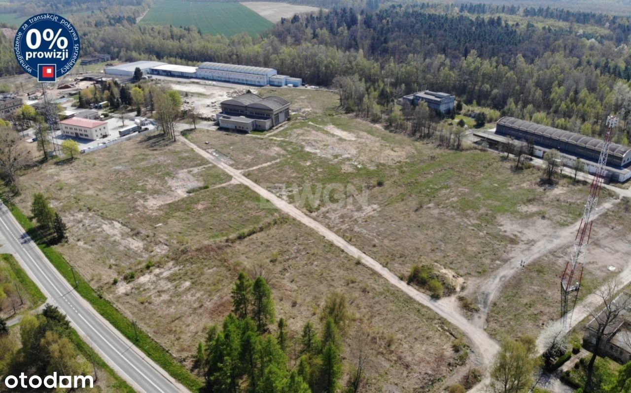 Działka, 55 000 m², Iwiny