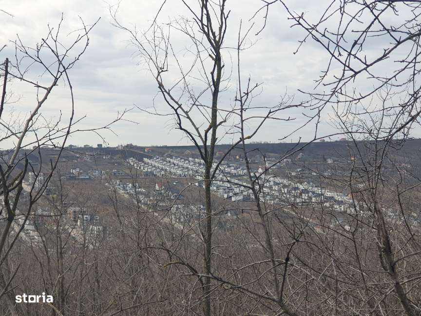 Teren intravilan IASI - COPOU - VITICULTORI -  in vecinatatea padurii-17
