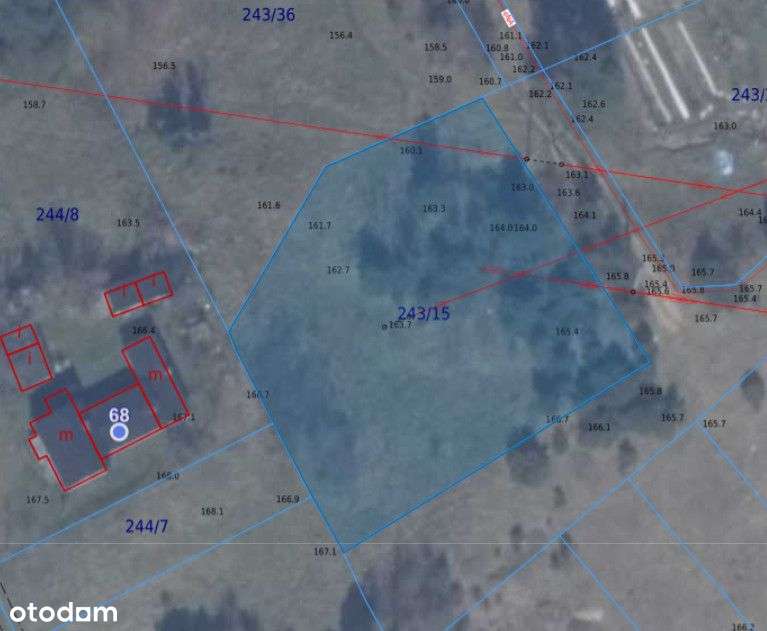 ph349973 - Pełny obrazek: 2/2