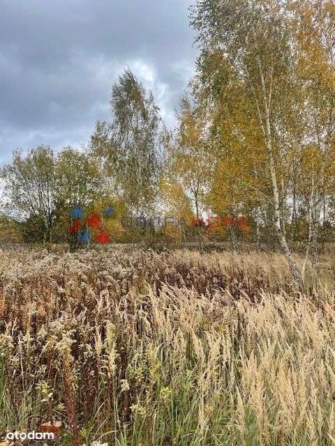 Cicha okolica, dobry dojazd - Pełny obrazek: 4/5