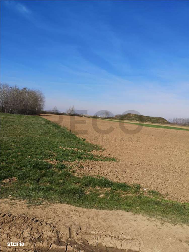 RECO Teren Santion - Imagine principală: 2/5