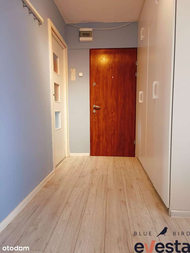 Pokój na wynajem - Ul. Wieczysta - Pełny obrazek: 5/7