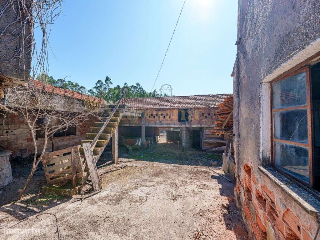 Moradia, em Vale das Antas - Grande imagem: 5/19