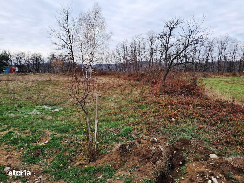 TEREN INTRAVILAN POLOVRAGI-6