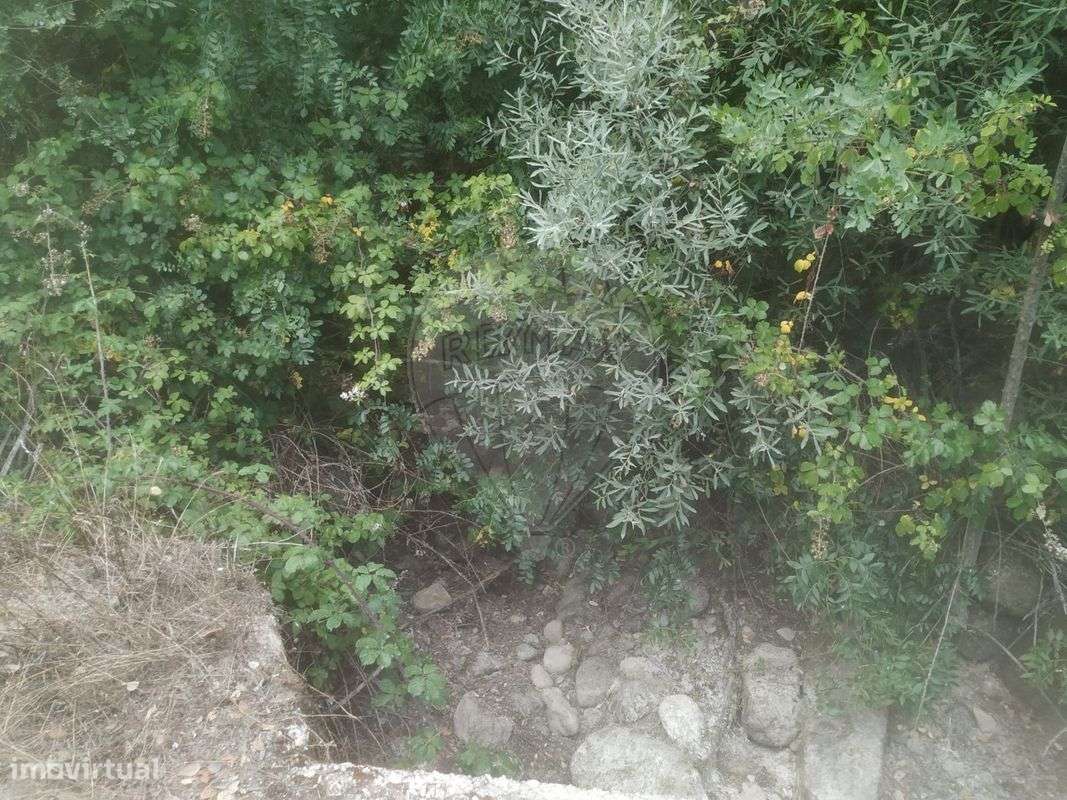 Terreno  para venda - Grande imagem: 2/9