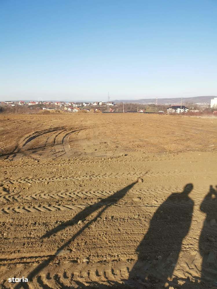 Teren Auchan Bradu-2