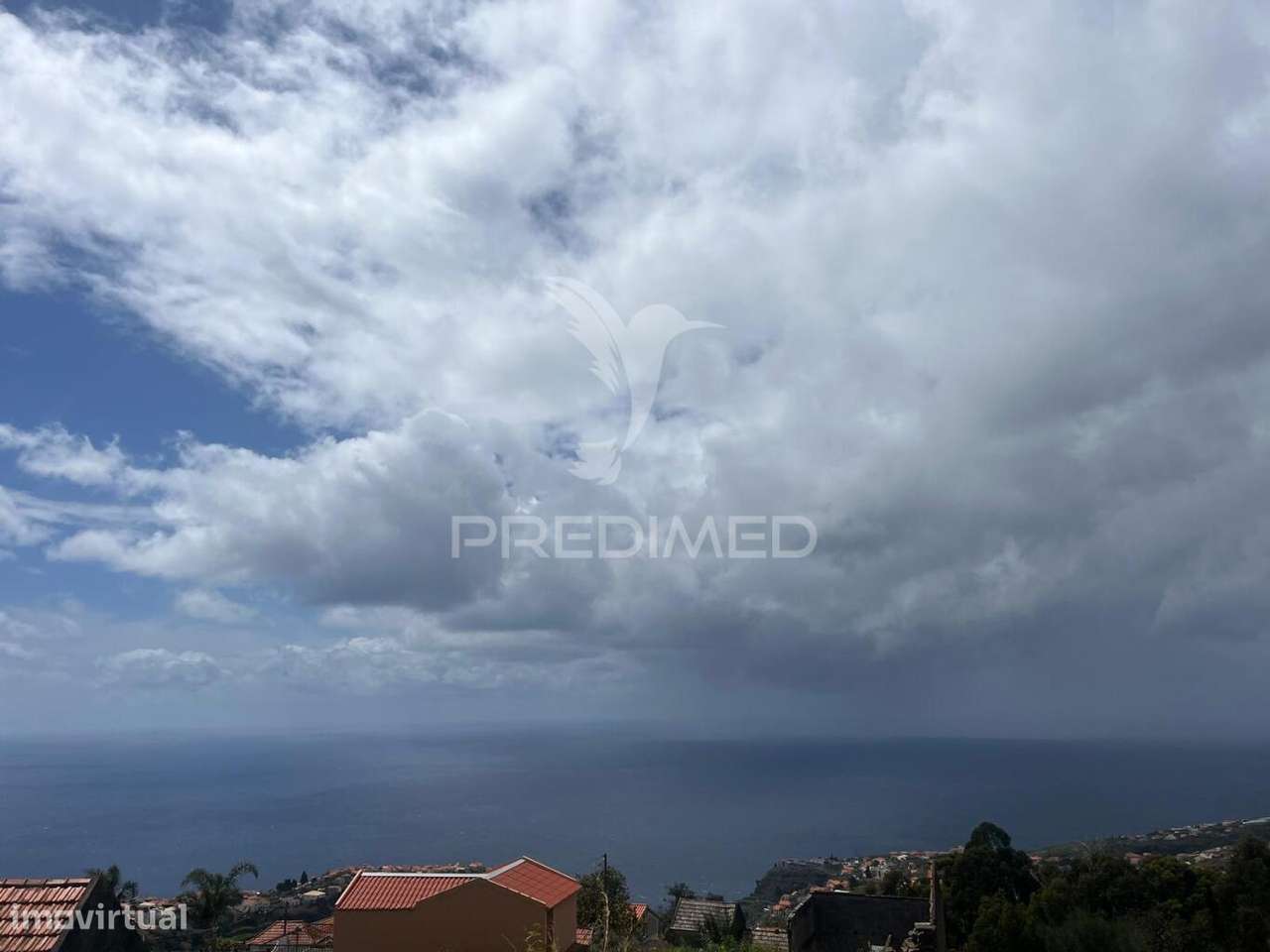 VENDO TERRENO E PALHEIRO NA CALHETA - Grande imagem: 5/6